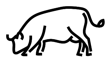 Eringerkühe