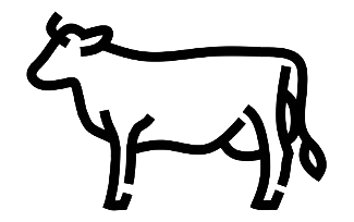 Milchkühe